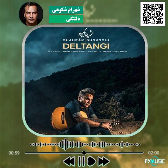 دانلود آهنگ دلتنگی شهرام شکوهی 8 دانلود آهنگ دلتنگی شهرام شکوهی